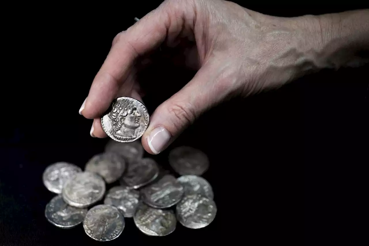 Ancient coins unearthed in desert cave from time of Maccabean revolt