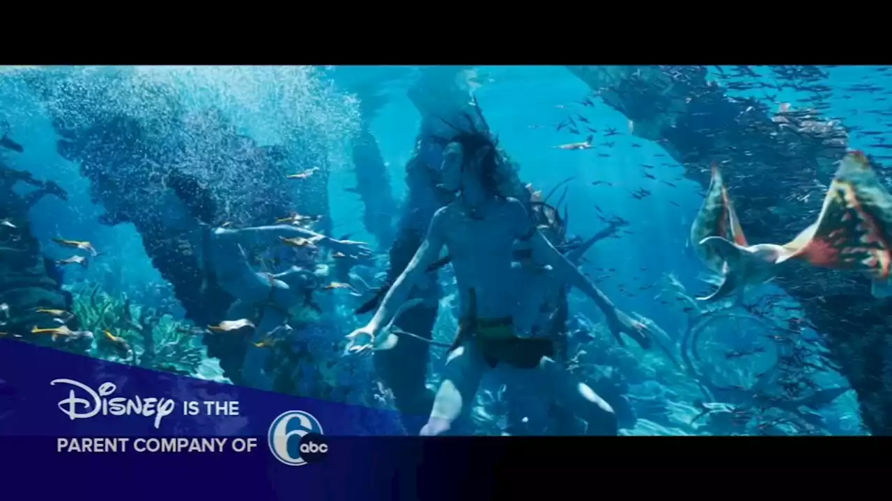 Actors Learn to Film Underwater in 'Avatar: The Way of Water'