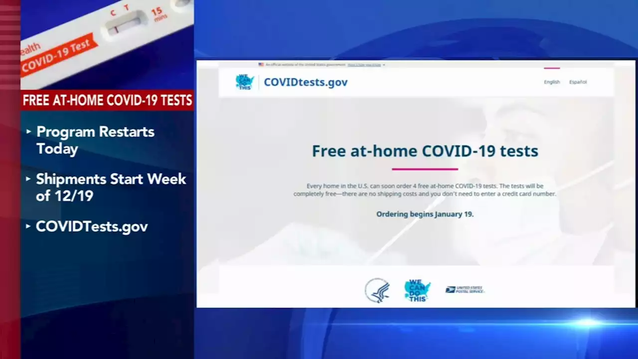 Free COVID-19 tests once again available to all Americans, White House reveals winter virus plans