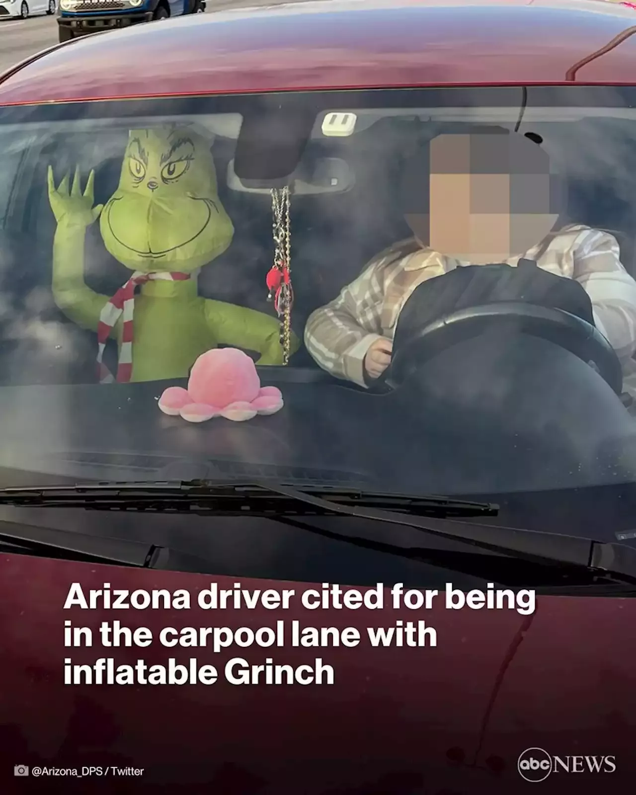 Woman Cited After Driving In Carpool Lane With Grinch Decoration