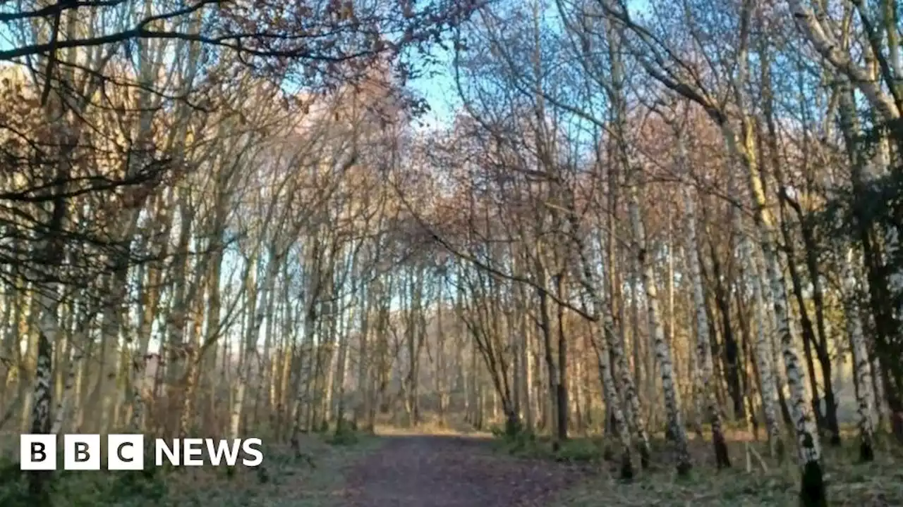 Manchester's Kenworthy Woods: Former tip declared nature reserve