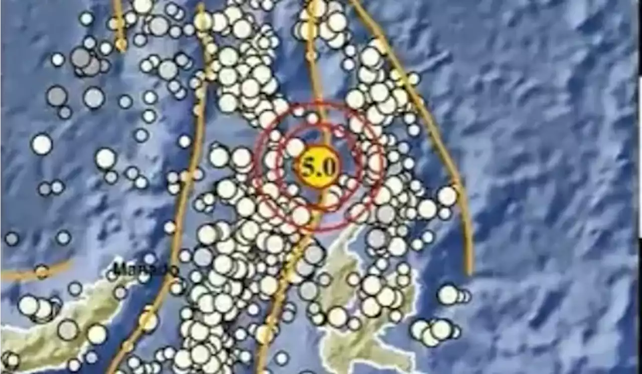 Gempa Magnitudo 5,0 Guncang Maluku Utara, Tidak Berpotensi Tsunami