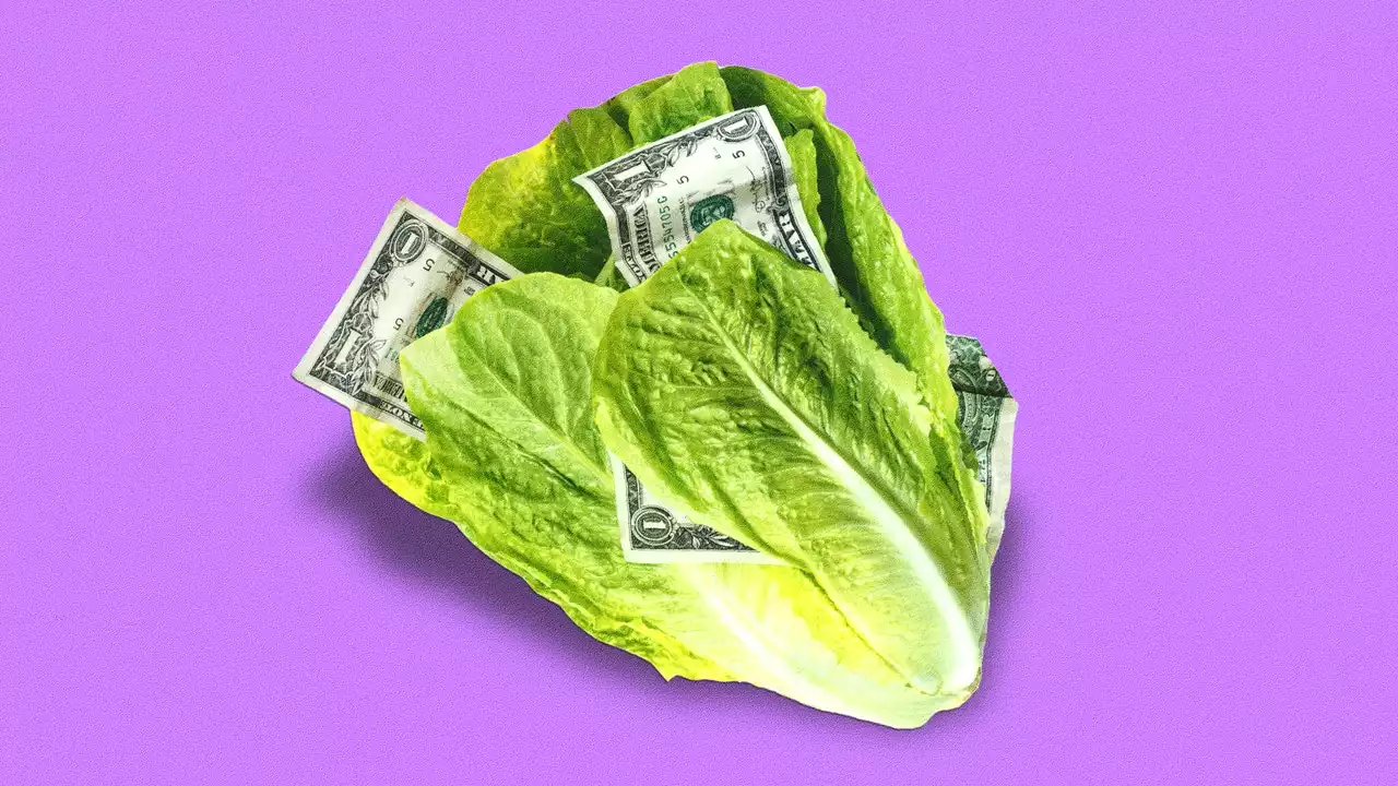 It’s Not Just You, Lettuce Really Is More Expensive Than Ever