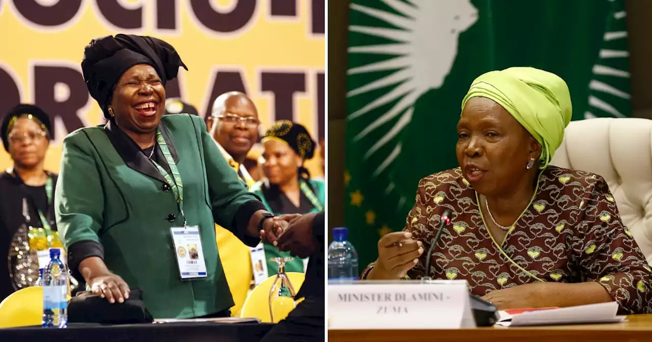 'Fearless': Mzansi praises Dlamini-Zuma as the ANC pursues disciplinary action