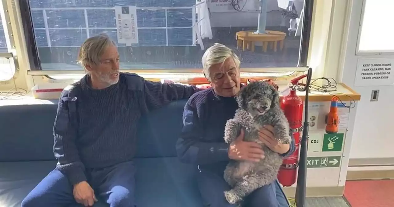 2 men, dog rescued 10 days after sailboat reported missing in the Atlantic