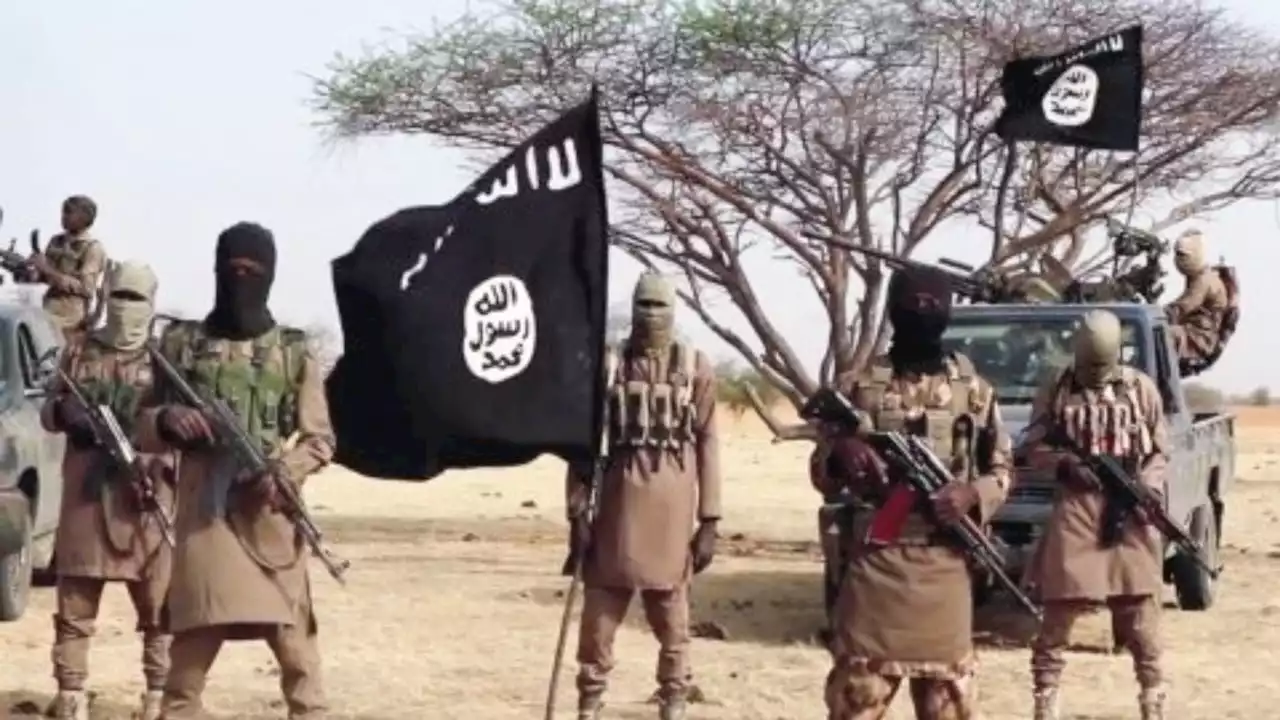 83,000 Boko Haram fighters surrender