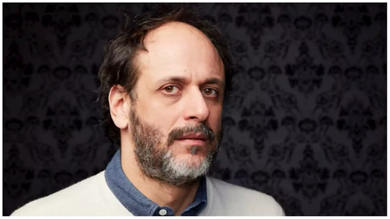 Luca Guadagnino To Receive International Icon Award From Sundance Institute