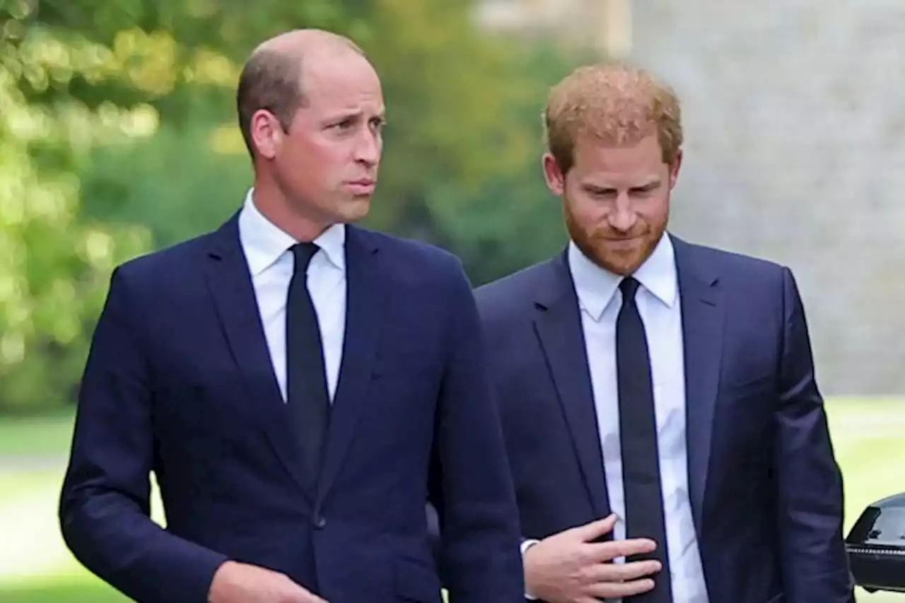 Prince Harry Recalls ‘Terrifying’ Moment Prince William Screamed And Shouted At Him When Talking About Royal Exit