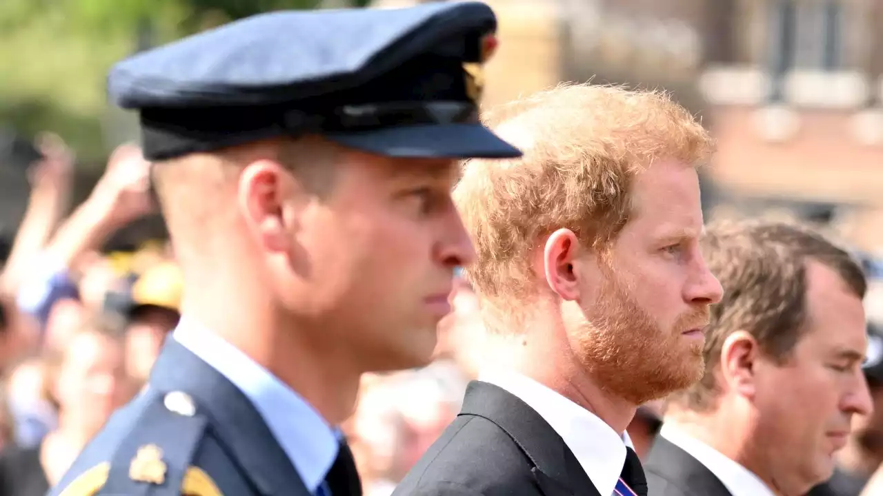 Prince Harry Recalls Having Prince William 'Scream and Shout' at Him