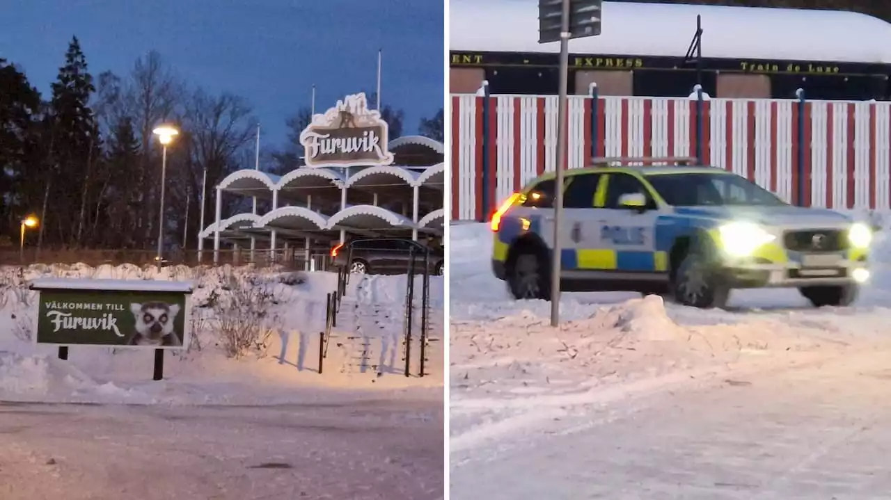 Parkens svar: Därför dödade man aporna