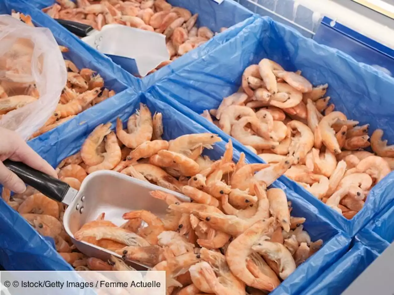 Rappel produit : des crevettes contaminées à la Listeria chez Leclerc, Carrefour, Auchan et Intermarché