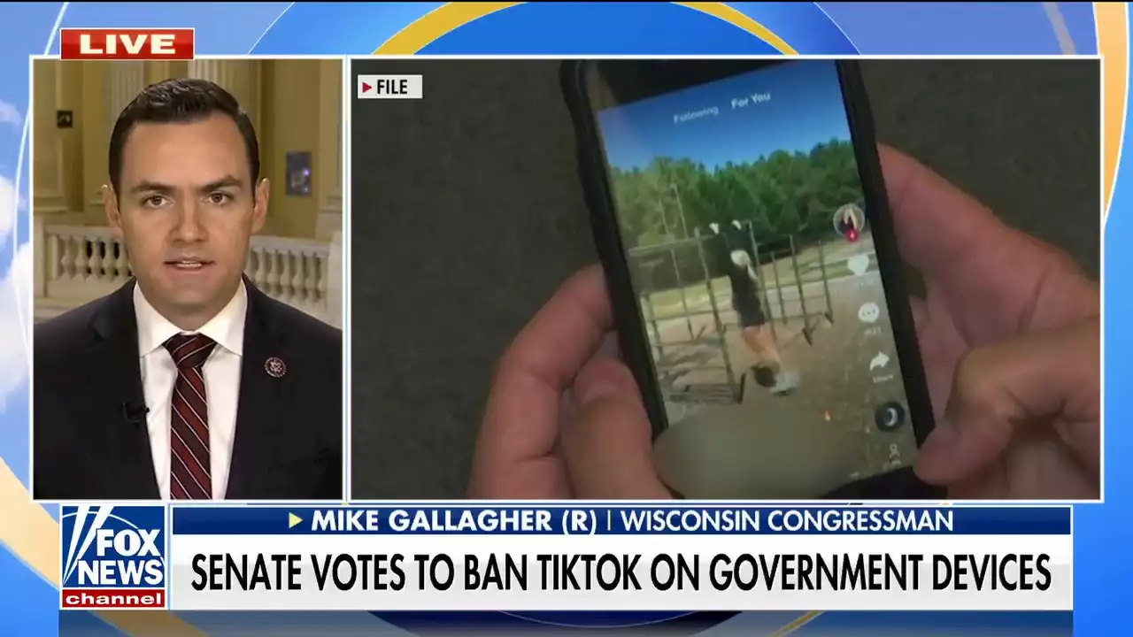 Lawmakers ramp up warnings about TikTok, call for national ban: 'This is digital fentanyl'