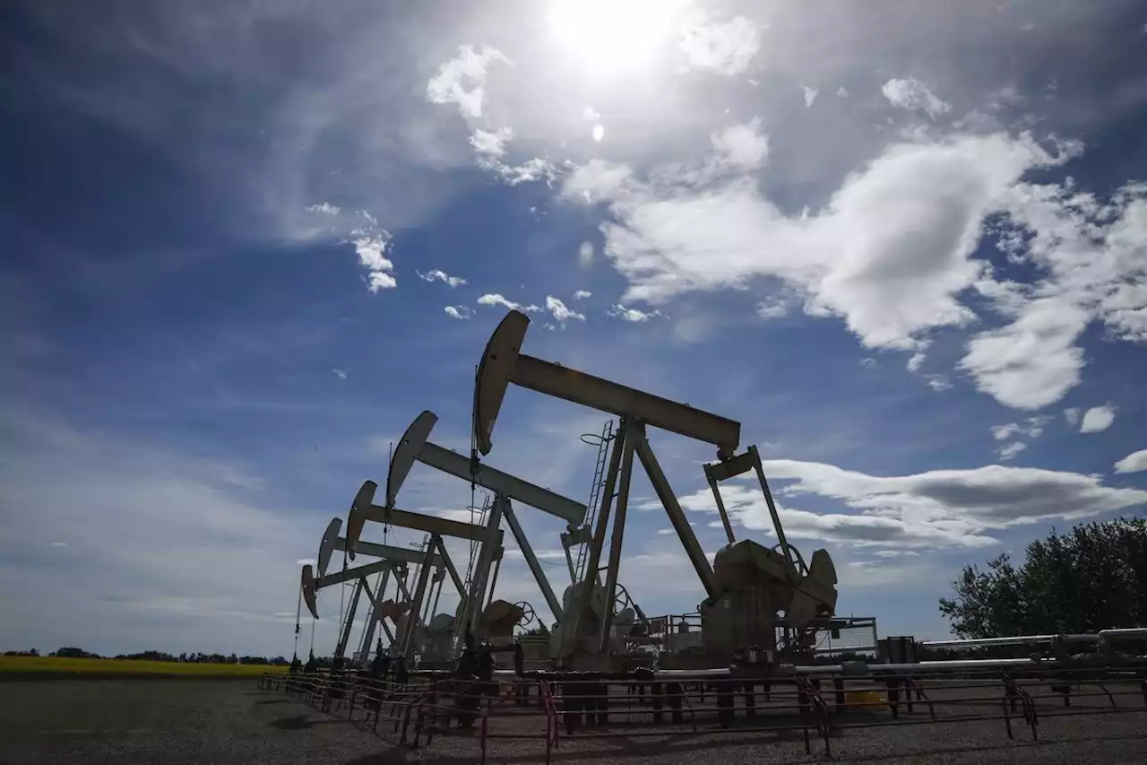 LNG coalition faces uncertain future after leader quits, proposals wane