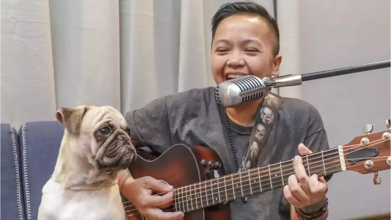 Ice Seguerra loses dog Choppy in a hit and run: 'Durog na durog ako'