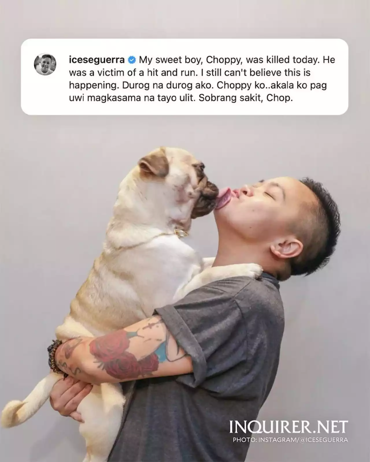 Ice Seguerra heartbroken after pet dog Choppy killed in hit and run