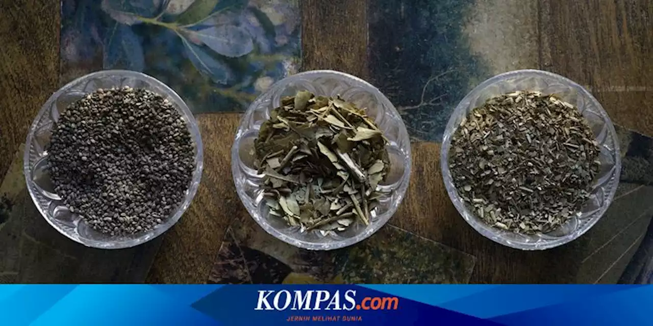 Yerba Mate, Minuman Herbal yang Bantu Argentina Lolos ke Final Piala Dunia 2022