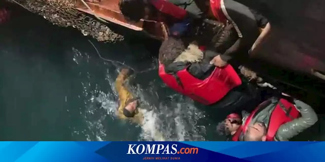 Puluhan Imigran Diangkut dari Perairan Membeku Setelah Putus Asa Minta Tolong dari Kapal yang Terbalik