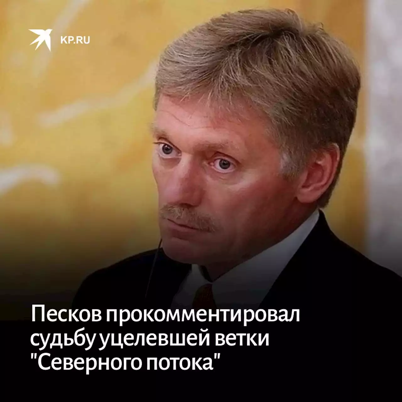 Песков прокомментировал судьбу уцелевшей ветки 'Северного потока'