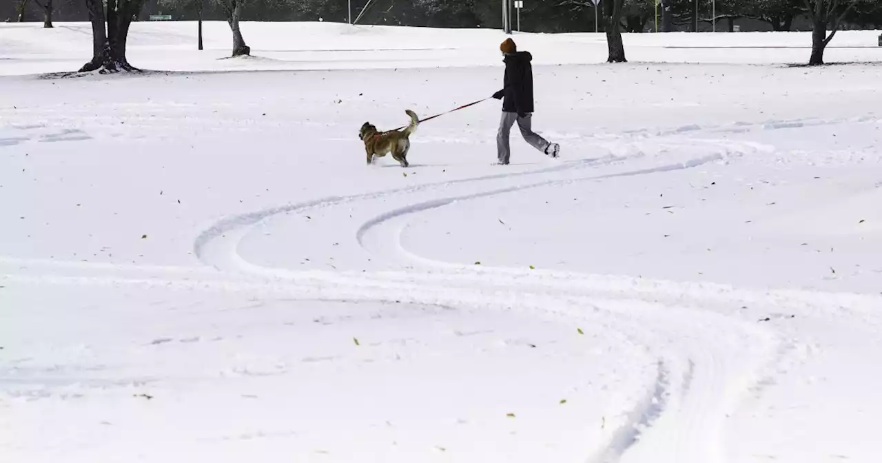 There's an official definition of what makes a white Christmas (and Austin probably won’t have one)