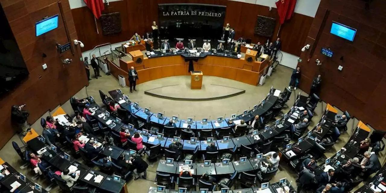 Avalan senadores en lo particular Plan B de la reforma electora