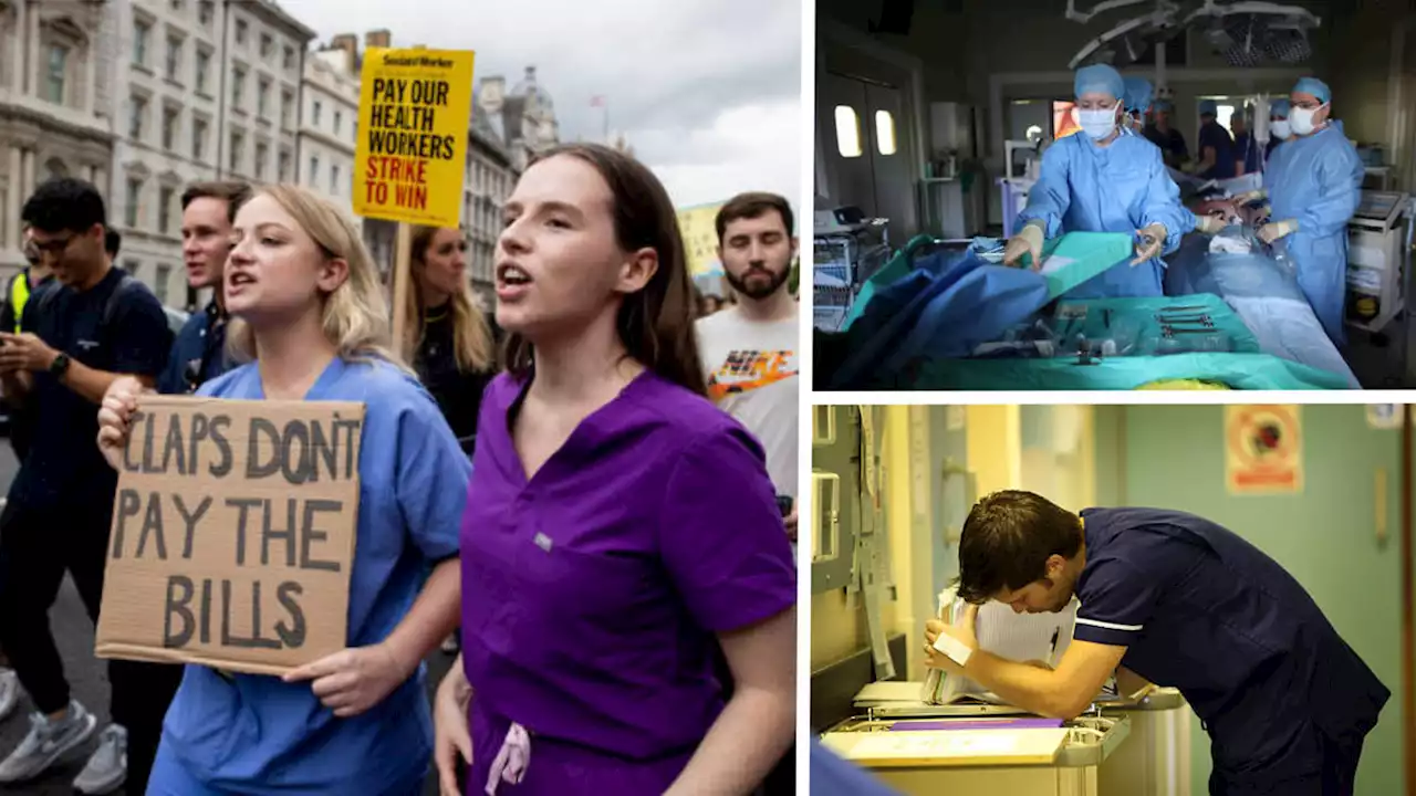 Nurses will strike again next year unless government boosts pay, warn NHS bosses, despite fears for patients' lives