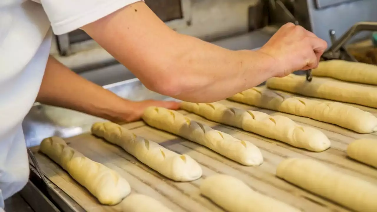 Electricité : les maires ruraux de Saône-et-Loire alertent sur la situation des boulangeries