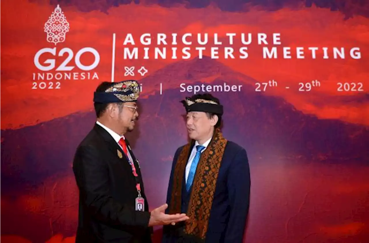 FAO Puji Indonesia Atasi Krisis Pangan Global