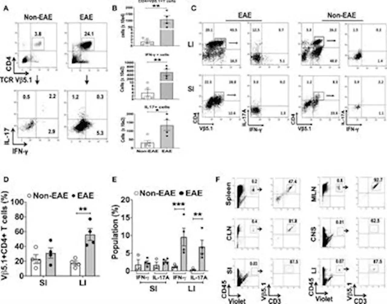 Frontiers | Fecal Lcn-2 level is a sensitive biological indicator for gut dysbiosis and intestinal inflammation in multiple sclerosis