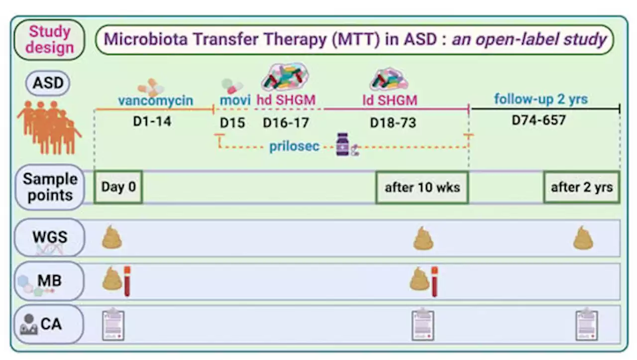 Shotgun Metagenomics Study Suggests Alteration in Sulfur Metabolism and Oxidative Stress in Children with Autism and Improvement after Microbiota Transfer Therapy