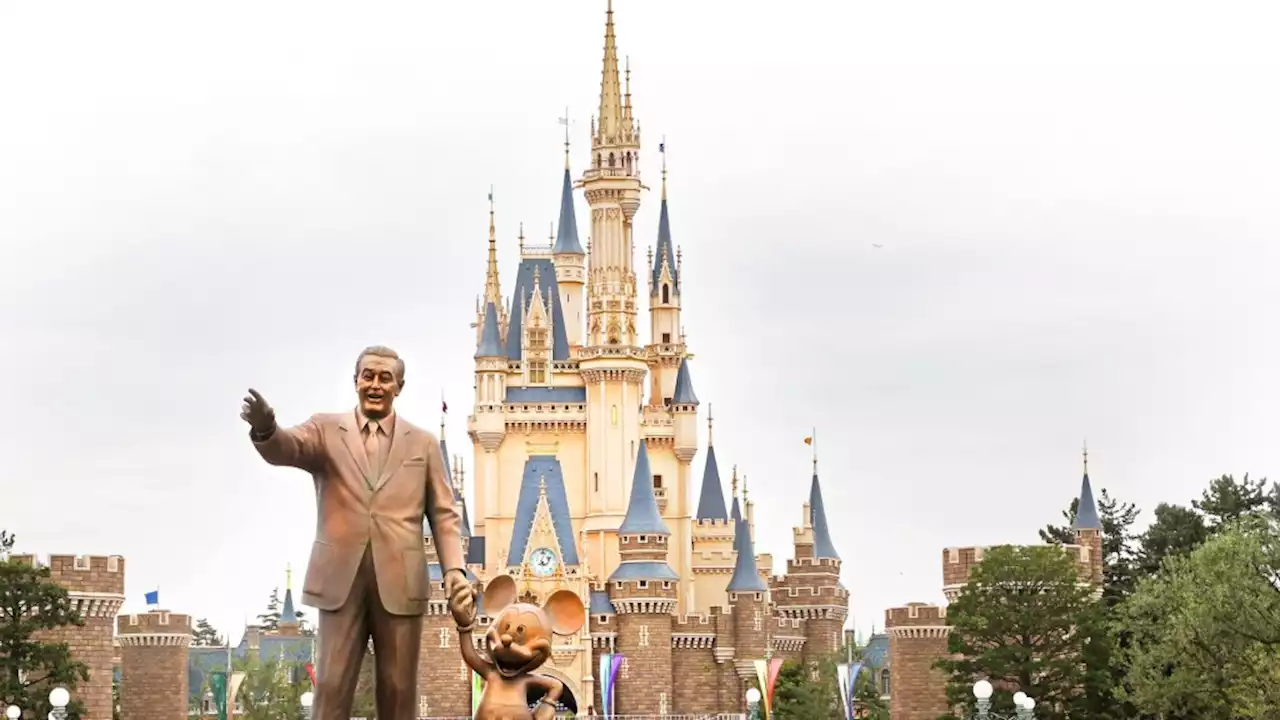 Tokyo Disneyland ‘intruder’ gang tackled by employees after attacking Christmas parade