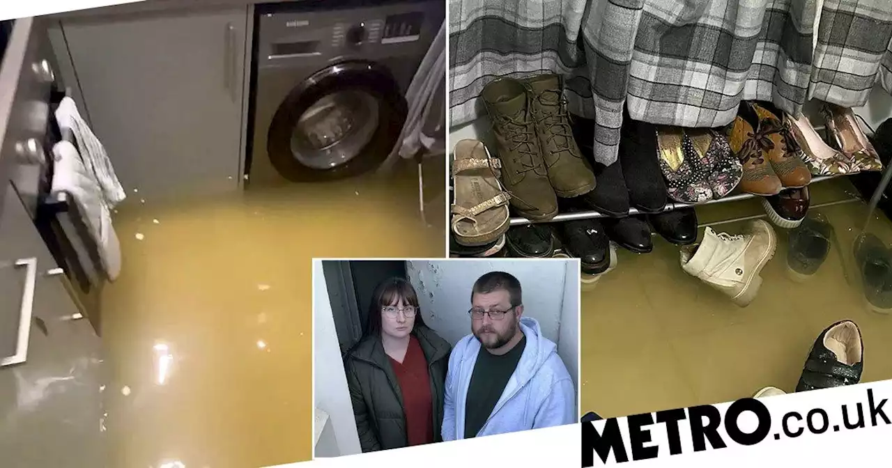 Couple face Christmas with ‘no home and no hope’ after sewage flooded their flat