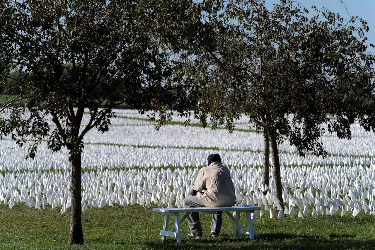 After Deadliest Year in US History, Deaths in 2022 Still High But Trend Down