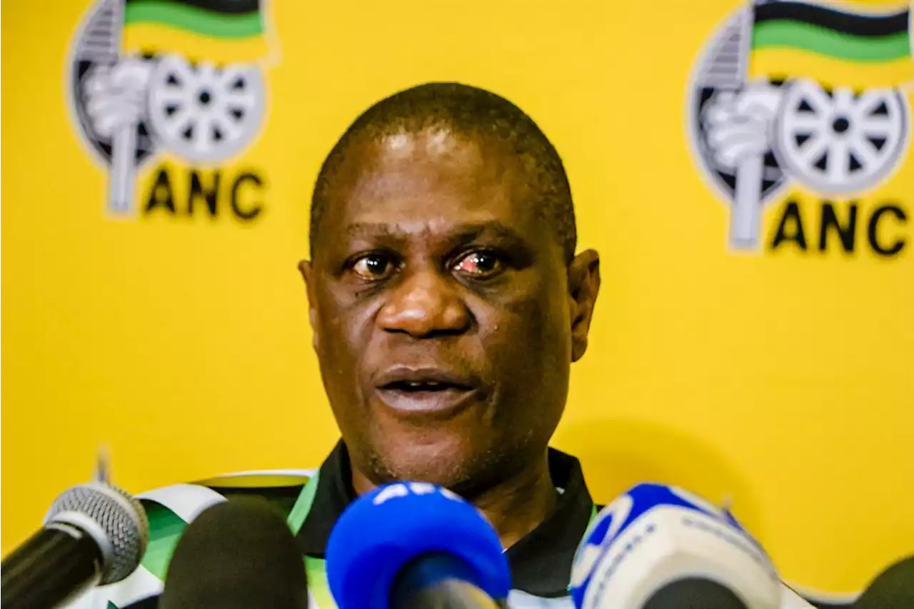 ANC MPs who defied party in Phala Phala vote will be disciplined - Paul Mashatile | News24