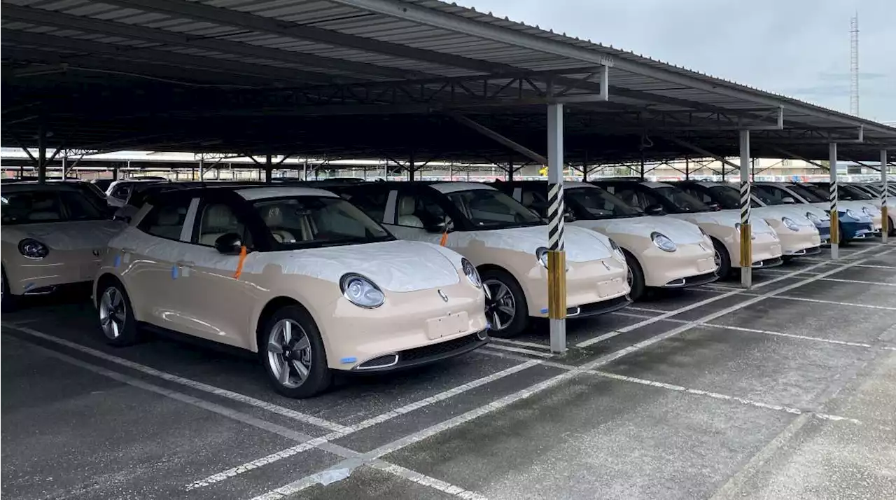 2022 Ora Good Cat - first batch has arrived in Malaysia - paultan.org