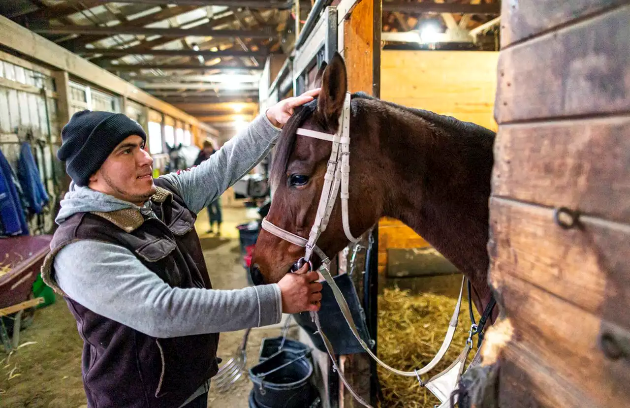 Race horse caregivers work behind the scenes at Penn National Race Course