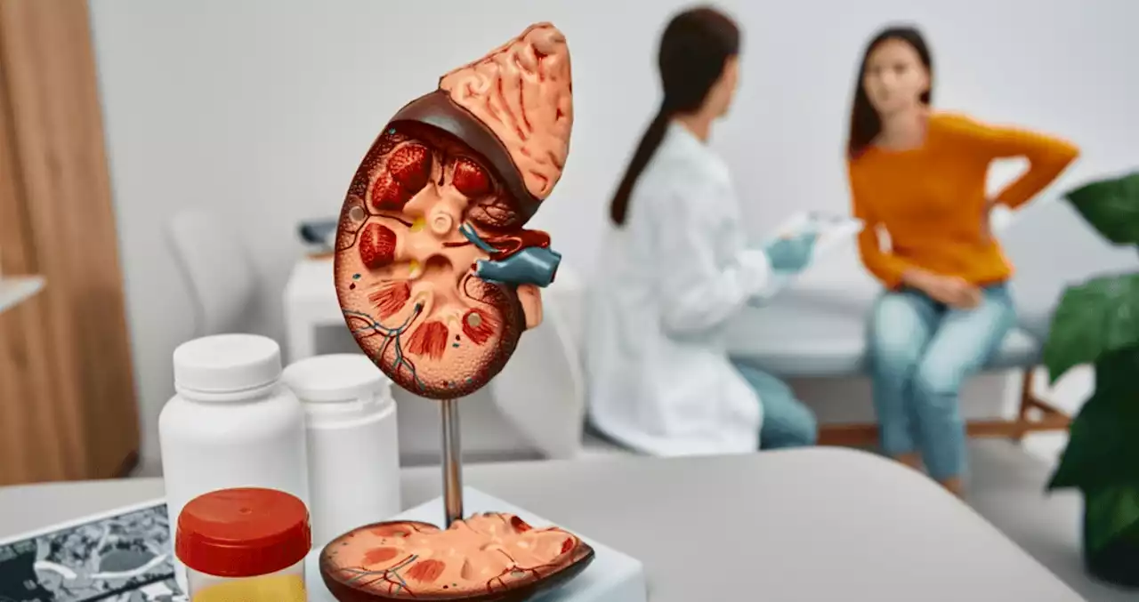 Ensayo clínico demuestra efectividad en la reducción de la enfermedad renal y riesgo cardiovascular