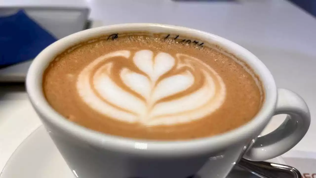 Decalogo del cappuccino: 10 regole per prepararlo in modo perfetto