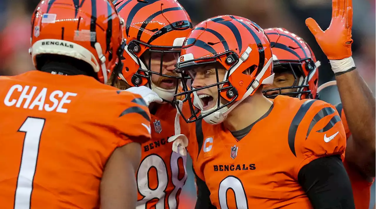 Bengals-Buccaneers Week 15 Odds, Betting Insights