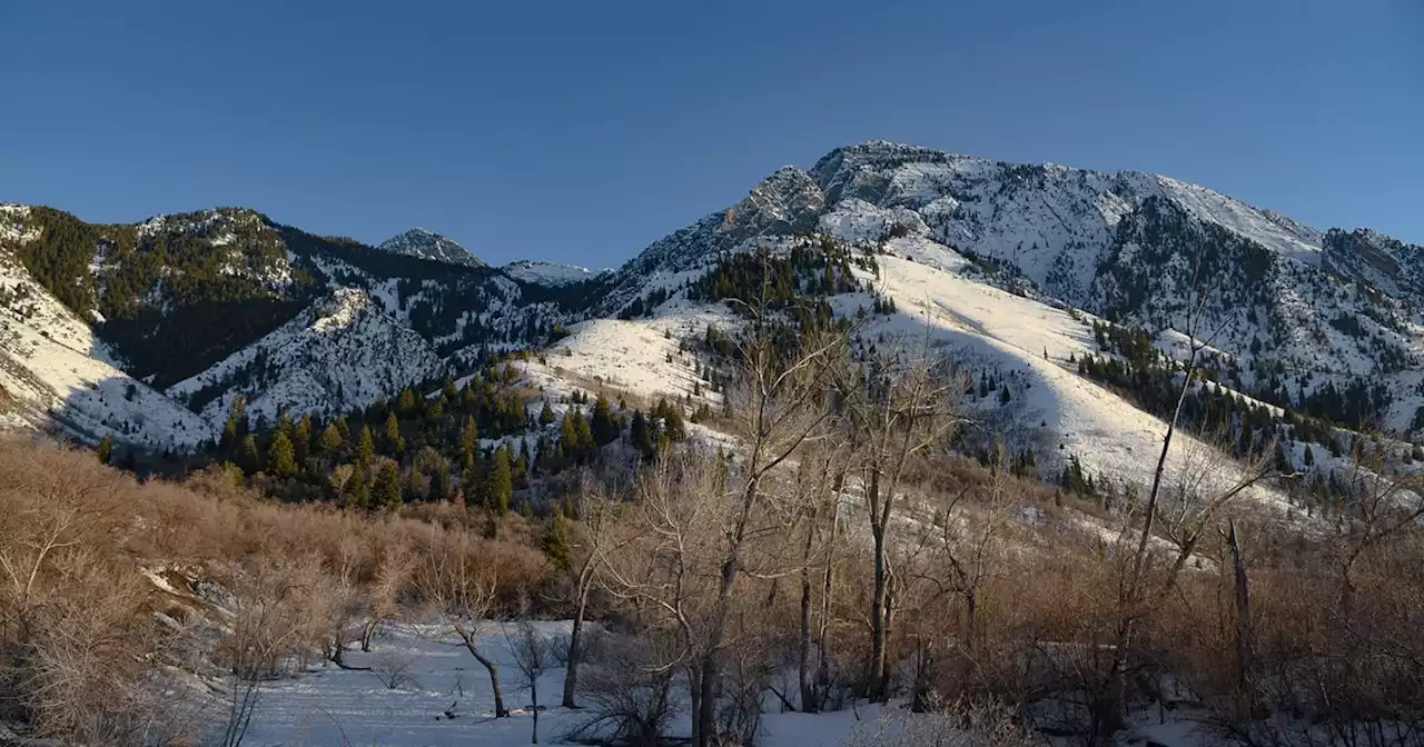 Neffs Canyon avalanche: Off-duty firefighter finds partially buried skier calling for help