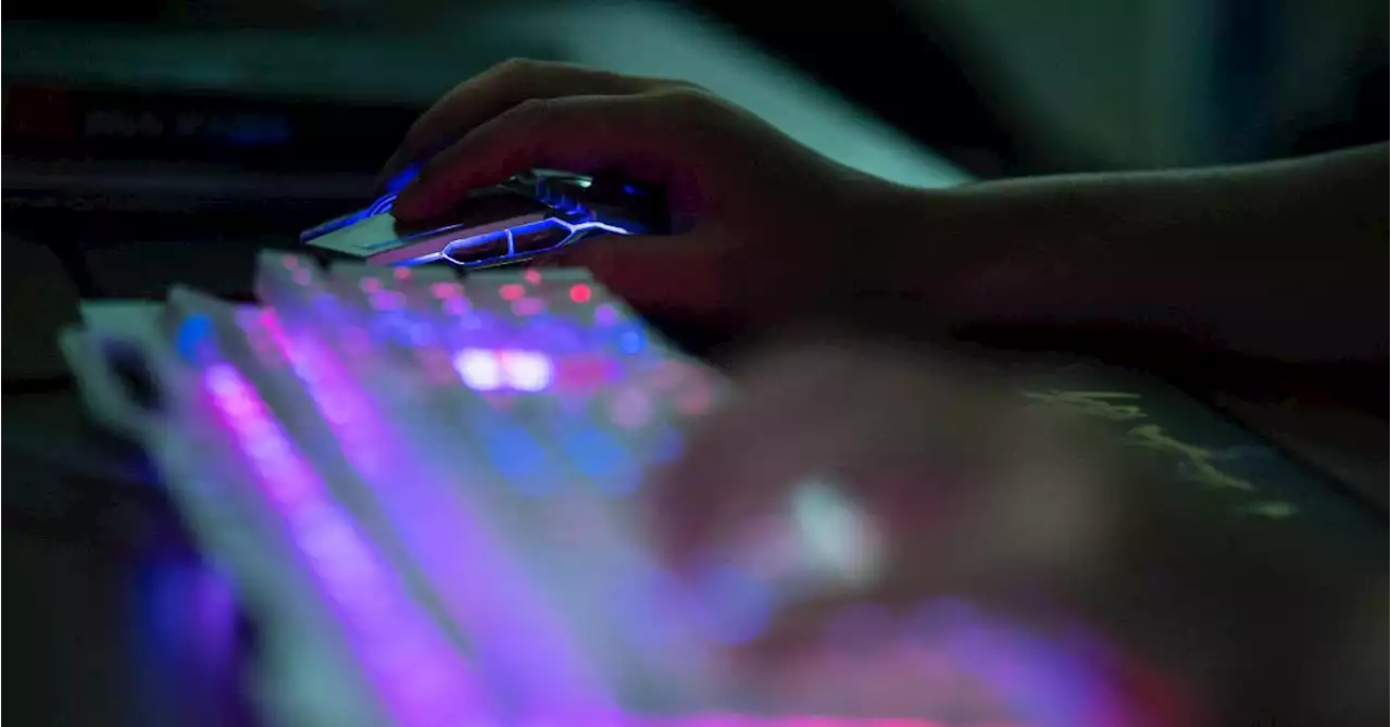 Une semaine après la cyberattaque, la Ville d’Anvers rétablit certains services