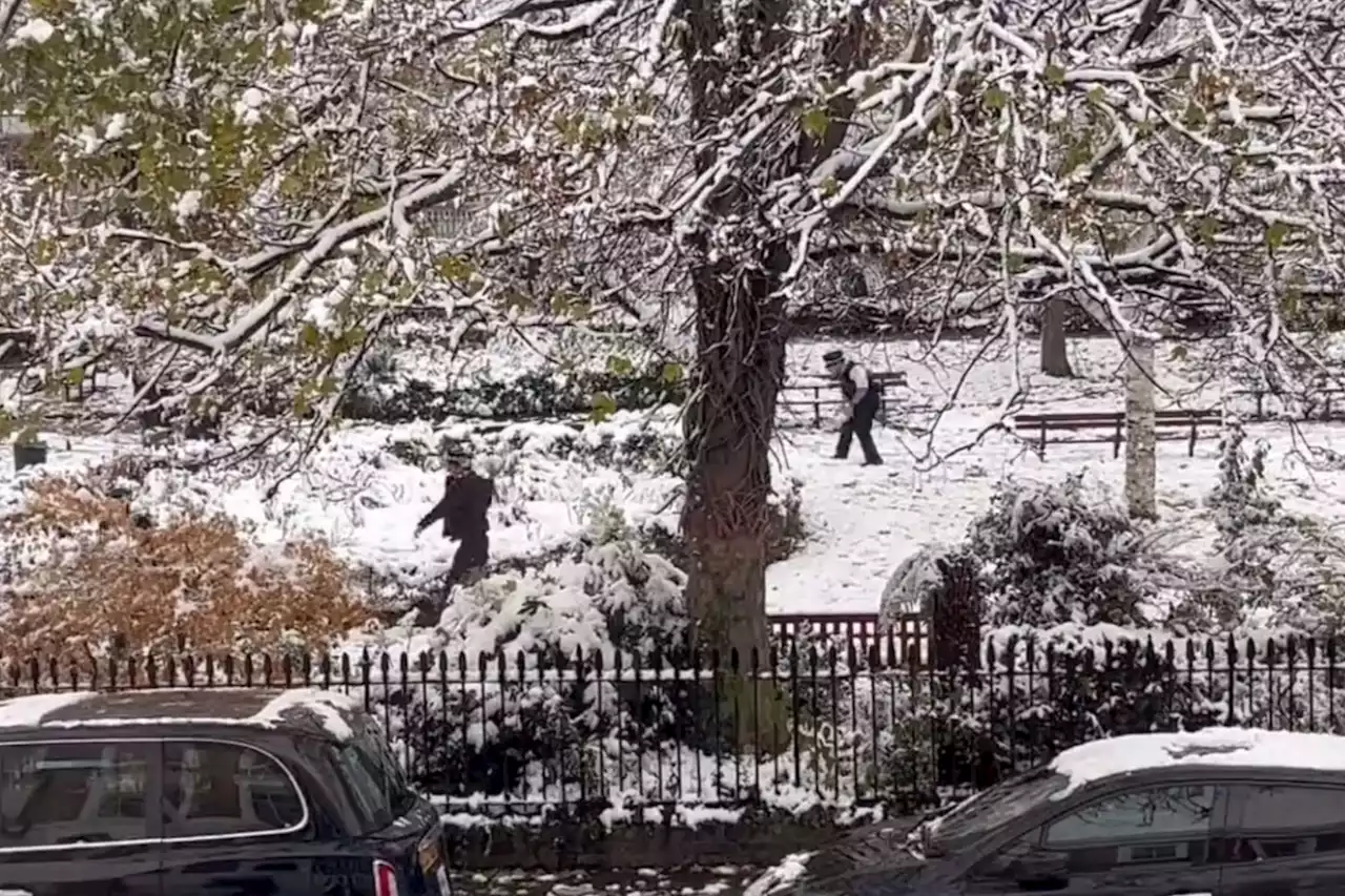 Six Met police officers reported to bosses for having a snowball fight in London