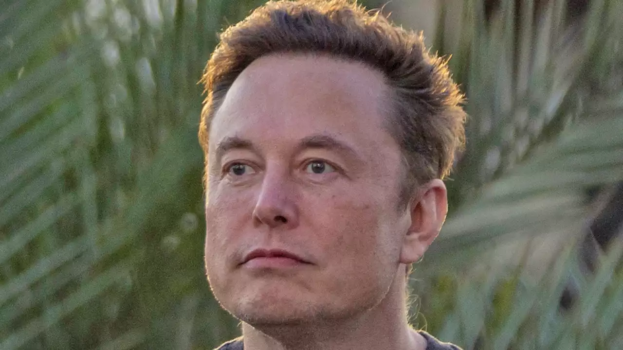 Elon Musk Says 'Crazy Stalker' Attacked His Car While Son Was Inside