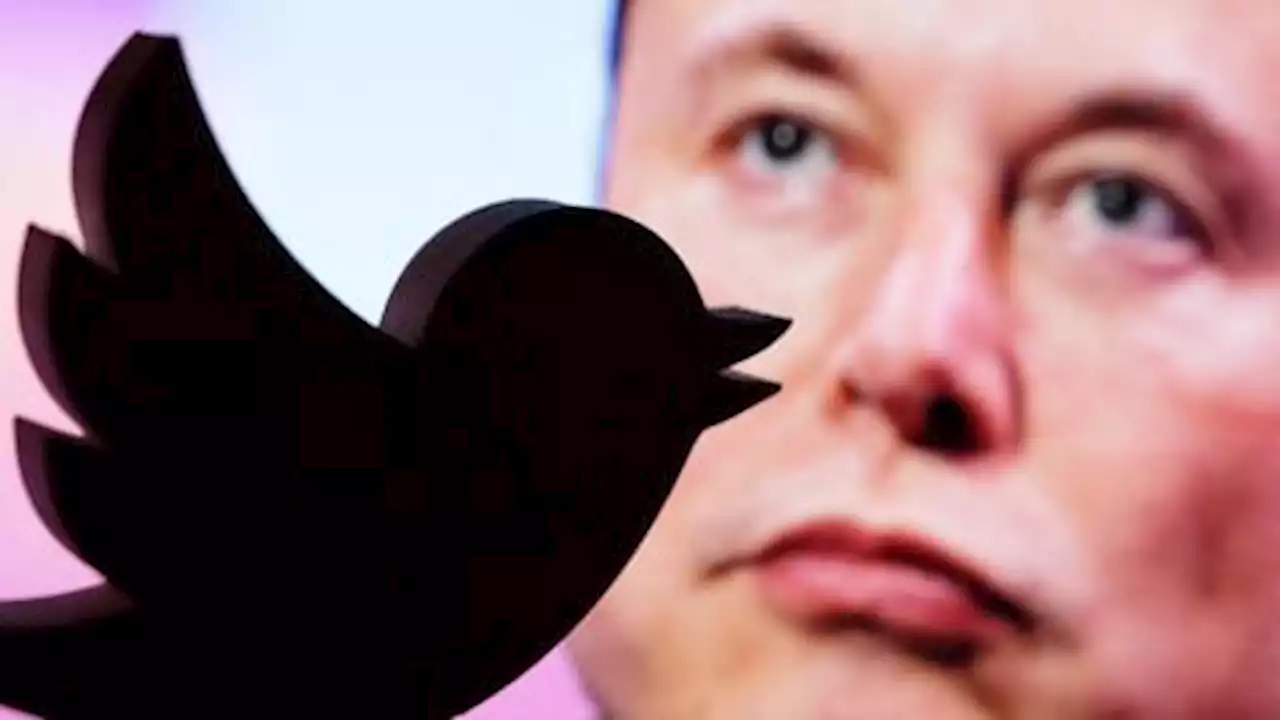 Is Musk-led Twitter heading for a clash with EU's stringent IT rules?