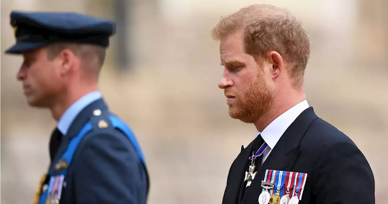 Prince Harry: I'll Never Get a ‘Genuine Apology’ From William and Charles