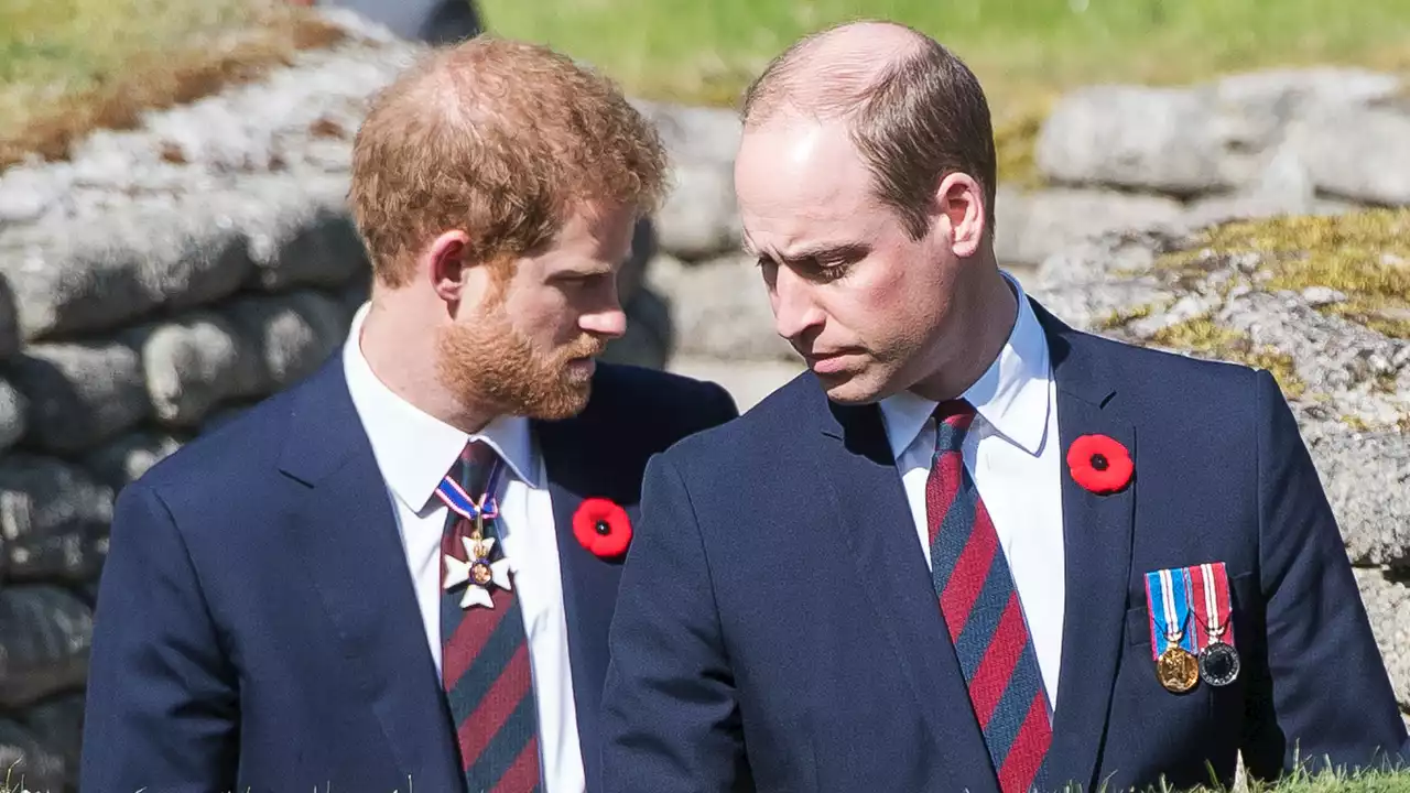 “A Great Sense of Mistrust”: Why Prince William Won’t Speak to Prince Harry