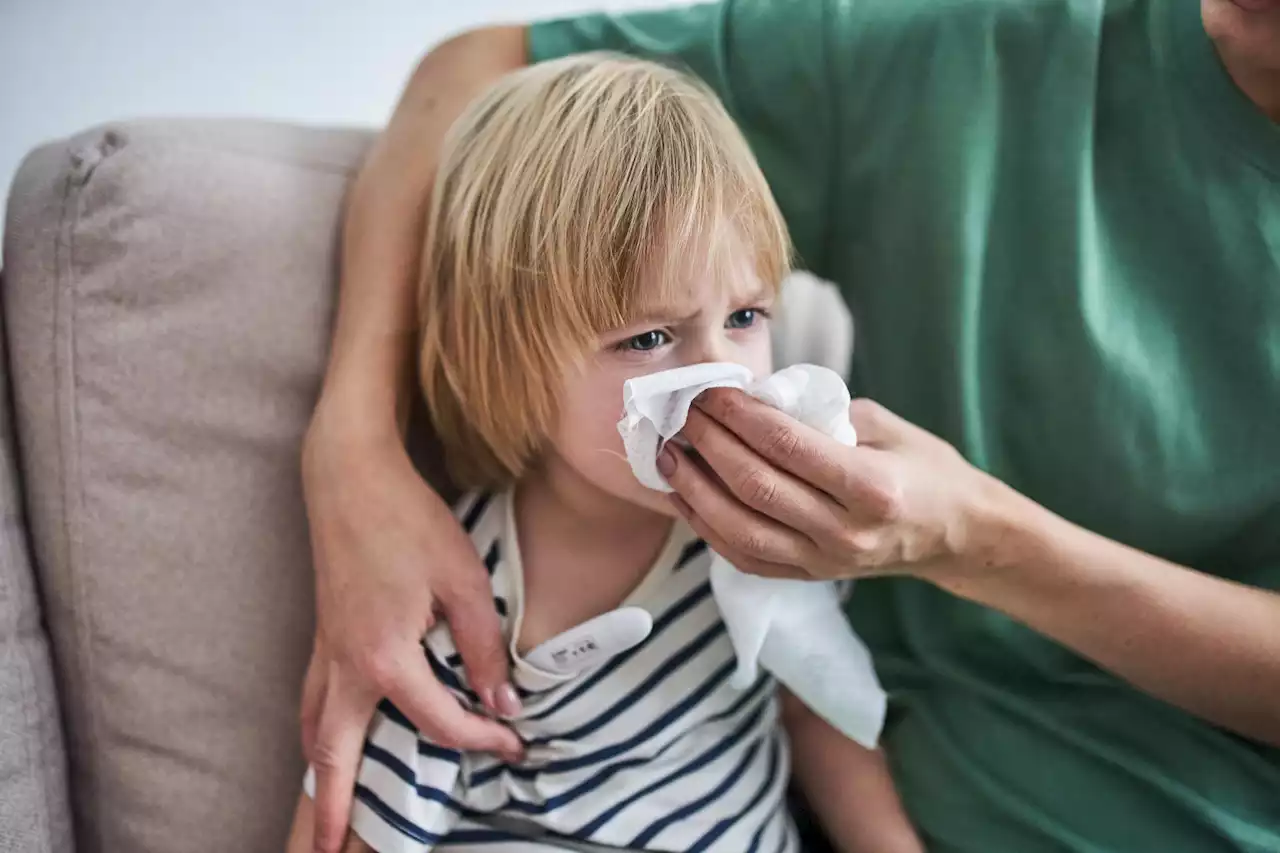 Schweiz: Volle Spitäler und Hamsterkäufe bei Medis – Grippewelle trifft Kinder besonders stark