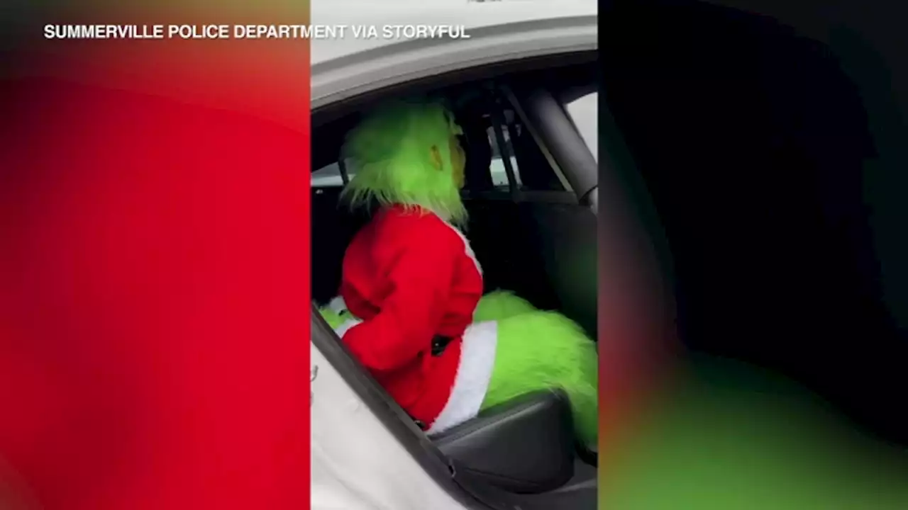 Grinch gets arrested after caught stealing Christmas tree from middle school | VIDEO