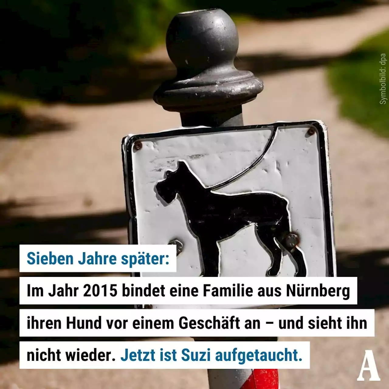 Verschollener Hund nach sieben Jahren mit Familie vereint