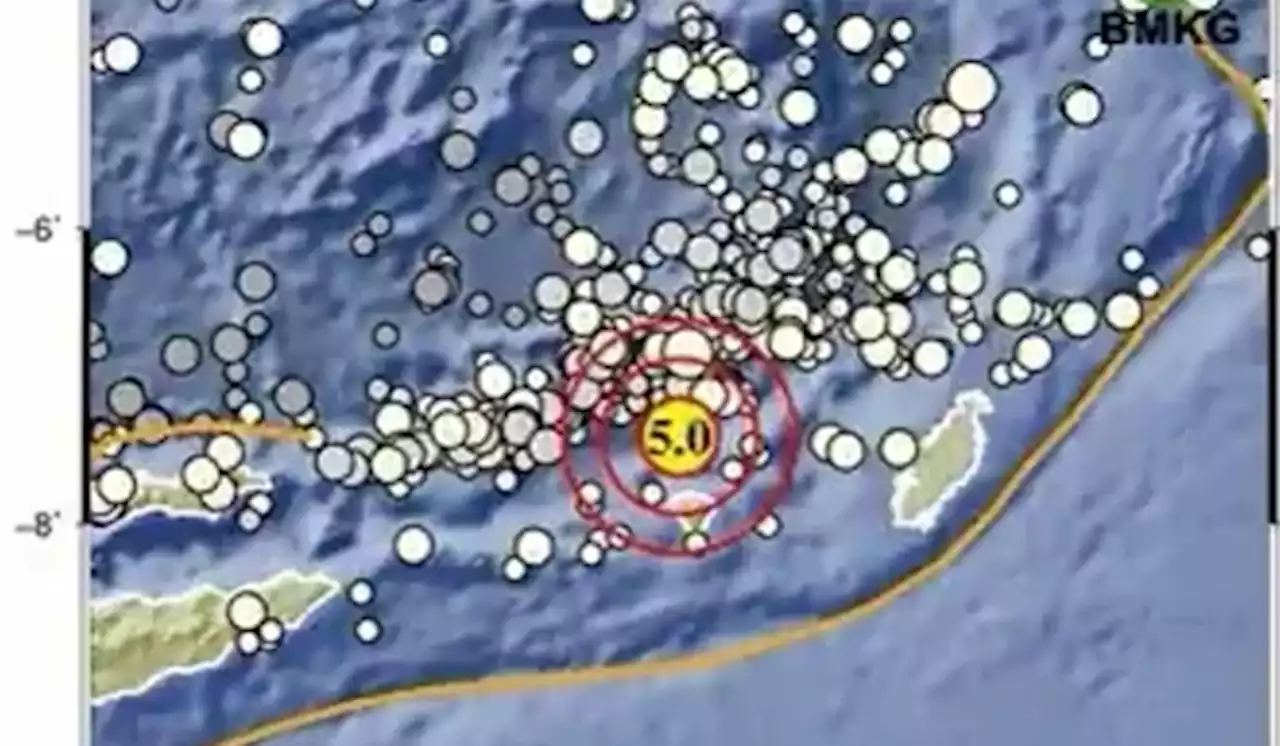 Gempa Berkekuatan M 5,0 Guncang Maluku Tenggara Barat, Tak Berpotensi Tsunami