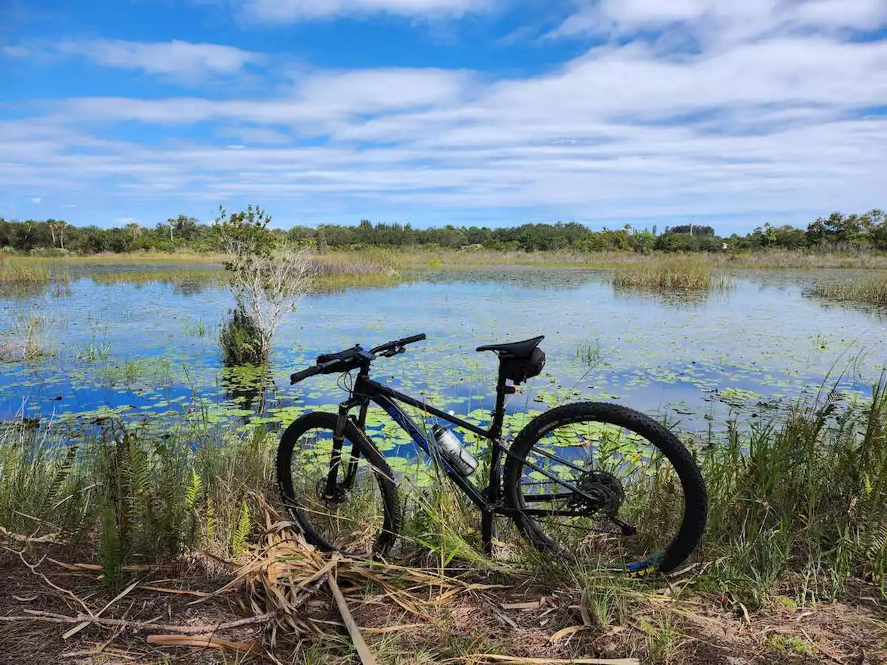 Bikerumor Pic Of The Day: Indrio Savannahs Preserve, Florida